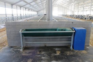 Поилка TOT1 групповая опрокидывающаяся